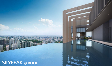 Skypeak Roof